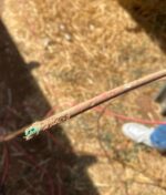 A problem that many projects may face: Wire damage caused by rodents.